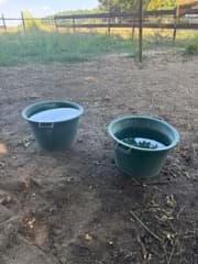 Deux bacs à eau en plastique posés au sol