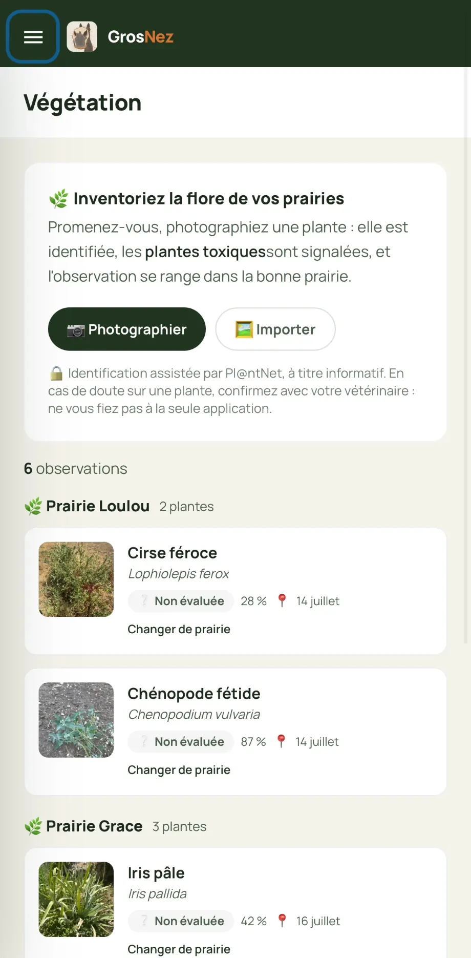 La flore des prairies identifiée par photo